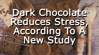 Dark Chocolate Reduces Stress, According To A New Study