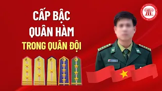 Cấp Bậc Quân Hàm Trong Quân Đội | THƯ VIỆN PHÁP LUẬT