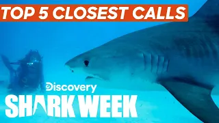 5 Closest Shark Encounters from Shark Week 2021