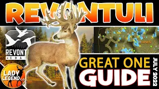 Get Your WHITETAIL GREAT ONE in REVONTULI COAST!  (Detailed Zone Guide) - Call of the Wild