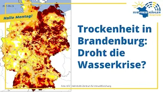 Trockenheit in Brandenburg: Droht die Wasserkrise?