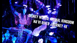 Disney World Rides: Navi River Journey 4k Ultra High Quality Low Light Footage 2018