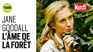 Jane Goodall, l'âme de la forêt