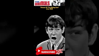 The Animals - House Of The Rising Sun  -  LIVE 1968