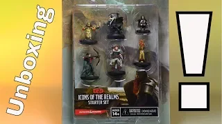 Icon of the Realms Starter Set Miniature Unboxing & Review