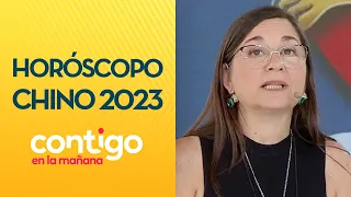 AÑO DEL CONEJO🔮 El horóscopo chino para el 2023 | Parte 2  - Contigo en La Mañana