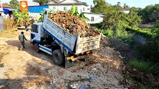 Starting New Project Filling Land With Komatsu D31P Bulldozer Pushing Soil & Mini Truck Dumping Soil