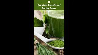 10 Greatest Benefits of Barley Grass | #shorts