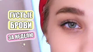 КАК ОТРАСТИТЬ ГУСТЫЕ БРОВИ ЗА НЕДЕЛЮ? RINA