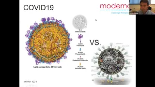 Avi Schroeder: Synthetic cells as platforms for producing medicines inside the body - Build-a-Cell