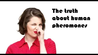 The truth about human pheromones