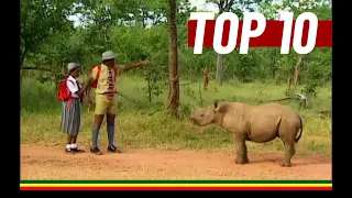 Zimbabwe Top 10 ZBC TV 90s Commercials / Adverts | Olivine, Chibuku, Mazoe