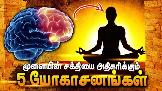 TOP 5 Yoga for Increase Brain power 🧠 |  மூளையின் சக்தியை அதிகரிக்க 5 யோகாசனங்கள் #motivation