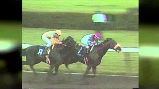 BREEDERS' CUP MOMENTS: Sunday Silence Wins 1989 Classic