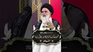 Khuda k Nizam per amal na krny sy insan Shahwat ka aseer ban jata hai || Ustad Syed Jawad Naqvi h.a