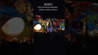 OZORA 2022 - DRAGON NEST Opening. TamikRest - Beatles of Sahara Desert.