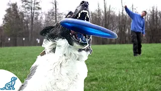 Learn To Throw Like A Disc Dog Pro *HINT* It's ALL In The Wrist;)