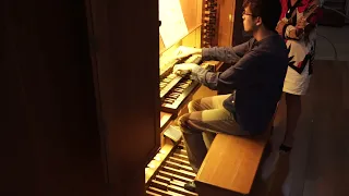 J. S. Bach - Toccata Adagio and Fugue BWV 564 - Andoni Andrada, organ