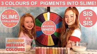 MYSTERY WHEEL MIXING 3 COLORS OF PIGMENT INTO SLIME CHALLENGE | AUTUMN COLOURS | RUBY AND RAYLEE