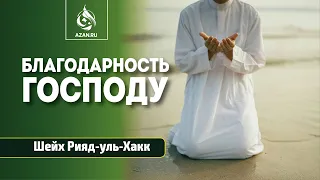 БЛАГОДАРНОСТЬ ГОСПОДУ - Шейх Риядуль Хак | AZAN.RU
