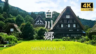 [ Shirakawa-go ] Summer is the best time to visit #shirakawago #japan