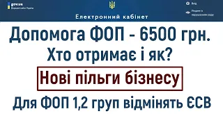 Хто та як може отримати 6500 грн.  допомоги? Нові пільки для бізнесу!