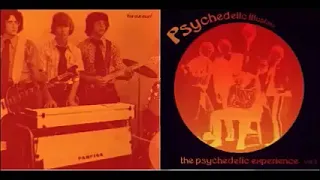 Various ‎– The Psychedelic Experience Vol 3 : 60s Rare Garage Rock Illusions Bands Music Compilation