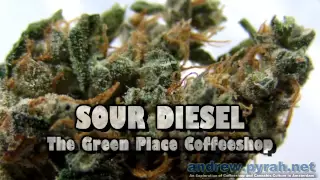 SOUR DIESEL The Green Place Coffeeshop - Amsterdam Weed Review