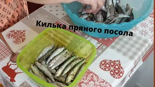 Рекомендую!Килька пряного посола в домашних условиях