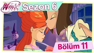 Winx Club - Sezon 6 Bölüm 11 - Yıkılan Hayaller  [TAM BÖLÜM]