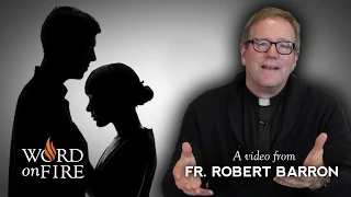 Bishop Barron on The Two Minus One Pregnancy