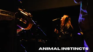 The Glass Box Presents: Animal Instincts