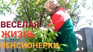 ОДНА в деревне.Весь день веселуха.Посадила огурчики и кабачки.Купчиха.Как живут люди в глубинке.