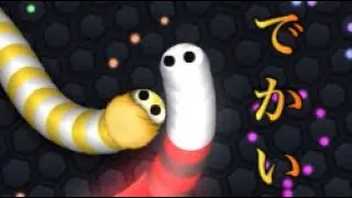 【スリザリオ】でかくなってからのプレー【Slither.io】