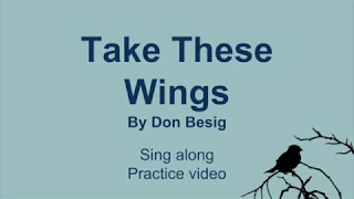 Take These Wings sing along video