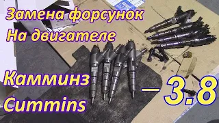 Замена форсунок на Камминз 3.8/Форсунки Камминз/Comon rail/Топливная система Cummins 3.8