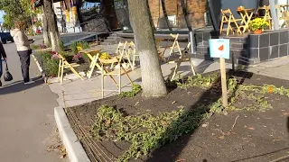 Тут Росте Справжнiй Український Херсонский Кавун. Kherson Watermelon is Growing in Kyiv, Ukraine.