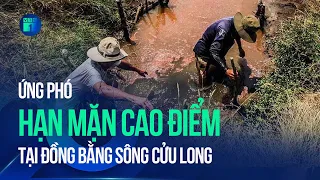 Ứng phó hạn mặn cao điểm tại Đồng bằng sông Cửu Long | VTC1