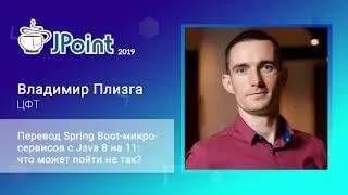 Владимир Плизга — Перевод Spring Boot-микросервисов с Java 8 на 11: что может пойти не так?