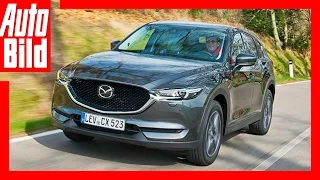 Mazda CX-5 Die zweite Generation Details/Erklärung