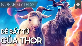 Vì sao người Bắc Âu yêu quý Thor | Thần Thoại Bắc Âu | SAMURICE ft.Vyvyan