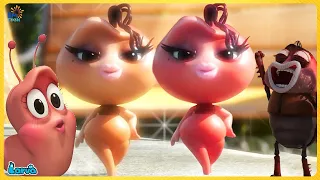 The Larva Girls Compilation - Top 50 Episode | Animation - Cartoons🍟 Fun Clips from Animation LARVA