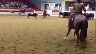 Zoetis AQHA VRH World - Ranch Cutting