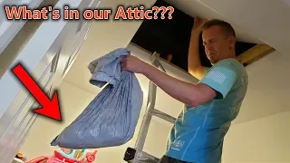 What's in Our Attic??? Horrid Smell Found!!!