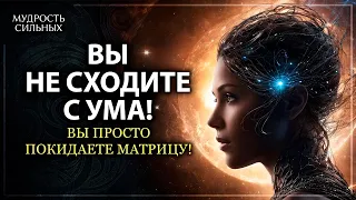 ВЫ НЕ СХОДИТЕ С УМА! Вы просто покидаете Матрицу!