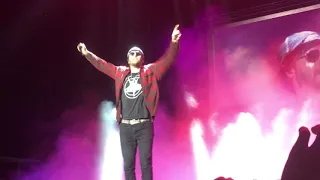 Avenged Sevenfold - Welcome to the Family (Sopron, Volt Fesztivál 2018.06.30)