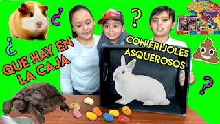 ¿QUÉ HAY EN LA CAJA? | WHAT´S IN THE BOX | KIDS CHALLENGE | RETO PARA NIÑOS