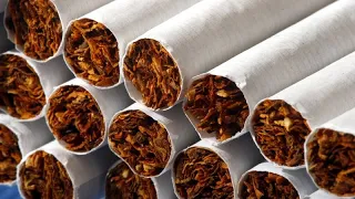 Бельгия: подпольная табачная фабрика работала стахановскими темпами – силовики изъяли 12 млн сигарет
