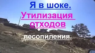 Всей улицей решили утилизировать все отходы лесопиления в Канске.