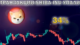 ТРАНЗАКЦИИ SHIBA INU УПАЛИ НА 34%! ПОЧЕМУ СЕГОНЯ SHIBA INU УПАЛ! АНАЛИЗ ЦЕНЫ SHIBA INU!